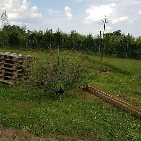 شقة Ranczo U Nikodema