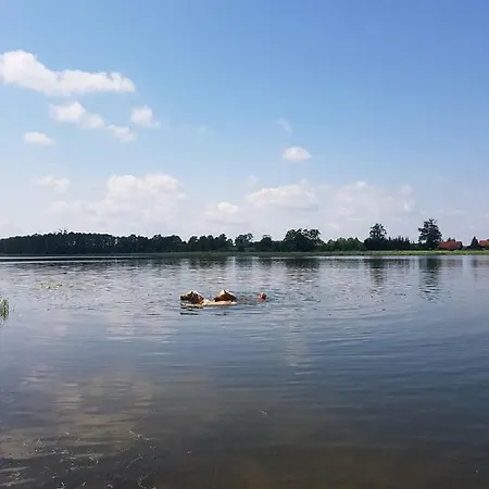 Ranczo U Nikodema Апартаменты Silice